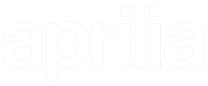 LOGO-MODEL-3-1-300x125